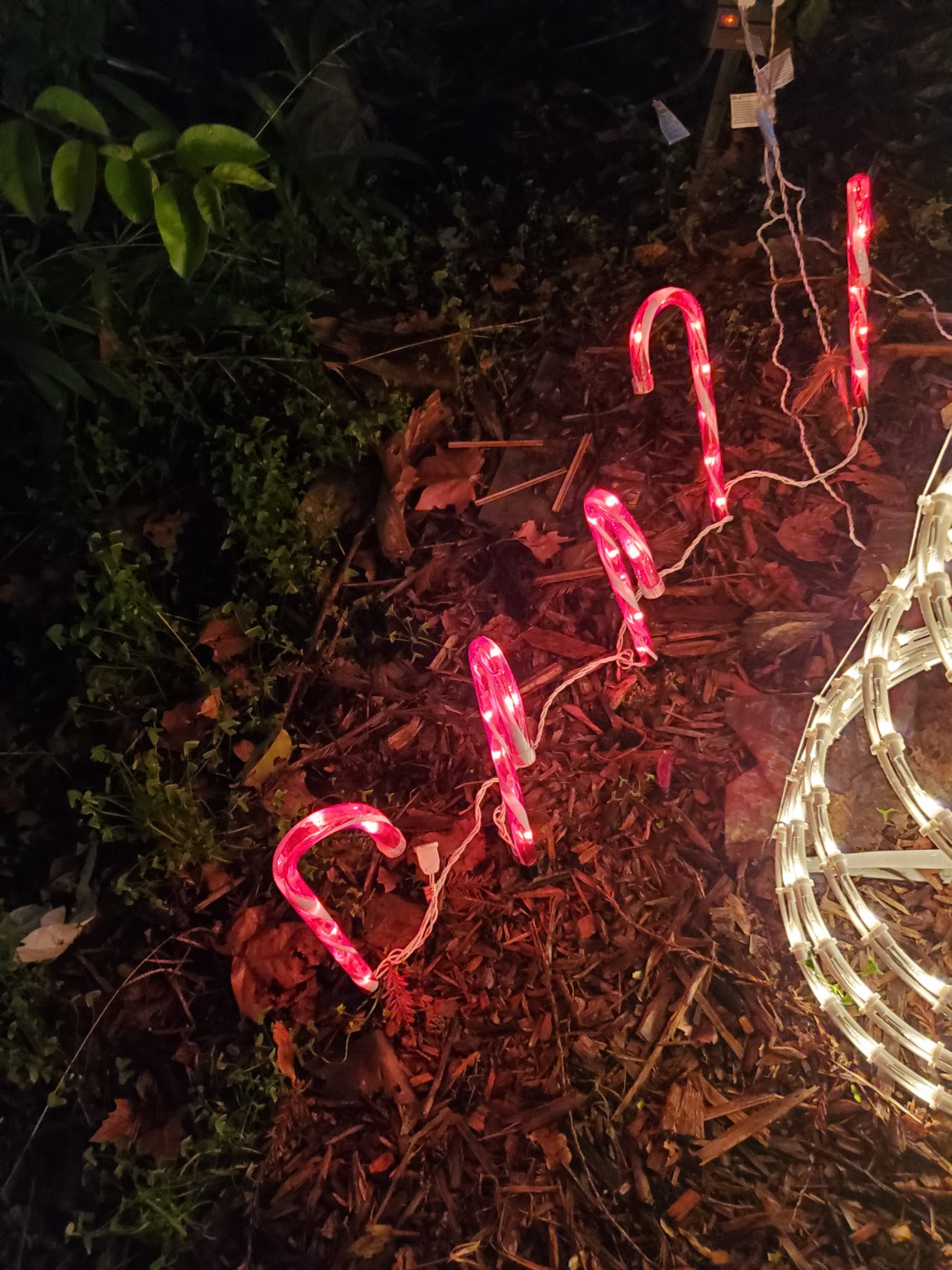 <strong>Natalia Ríos (Bogotá)</strong>