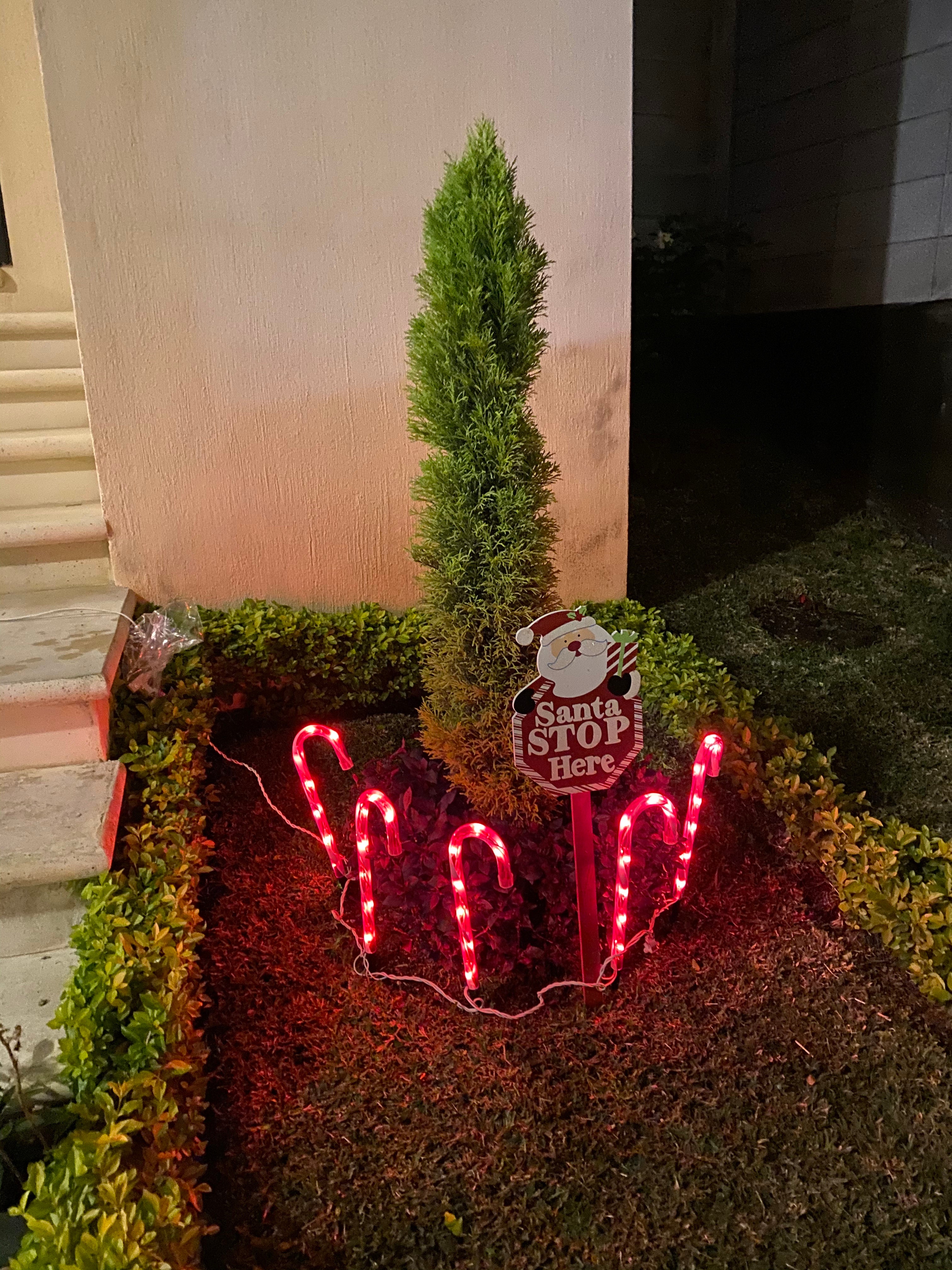 <strong>Laura Sánchez (Cali)</strong>